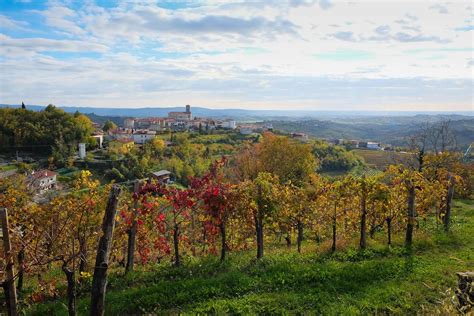 brda wijnstreek|Brda, de wijnstreek van Slovenië